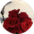 Yogita B. profile picture